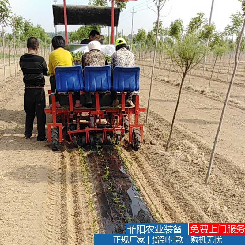 移栽机树木栽苗机