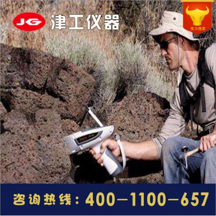 金属元素合金分析仪便携式光谱仪不锈钢牌号测试检测矿石检测仪器