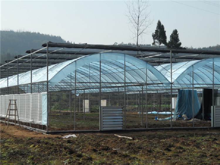 山东薄膜温室建造 连栋温室建设