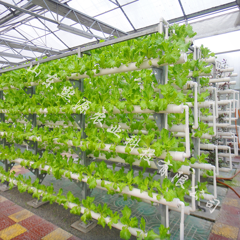 无土栽培工程建设 水培蔬菜立体种植 营养液种植蔬菜 无土栽培厂家供应