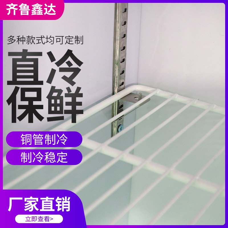厂家定制加工啤酒柜 优质静音饮料柜 供应啤酒柜