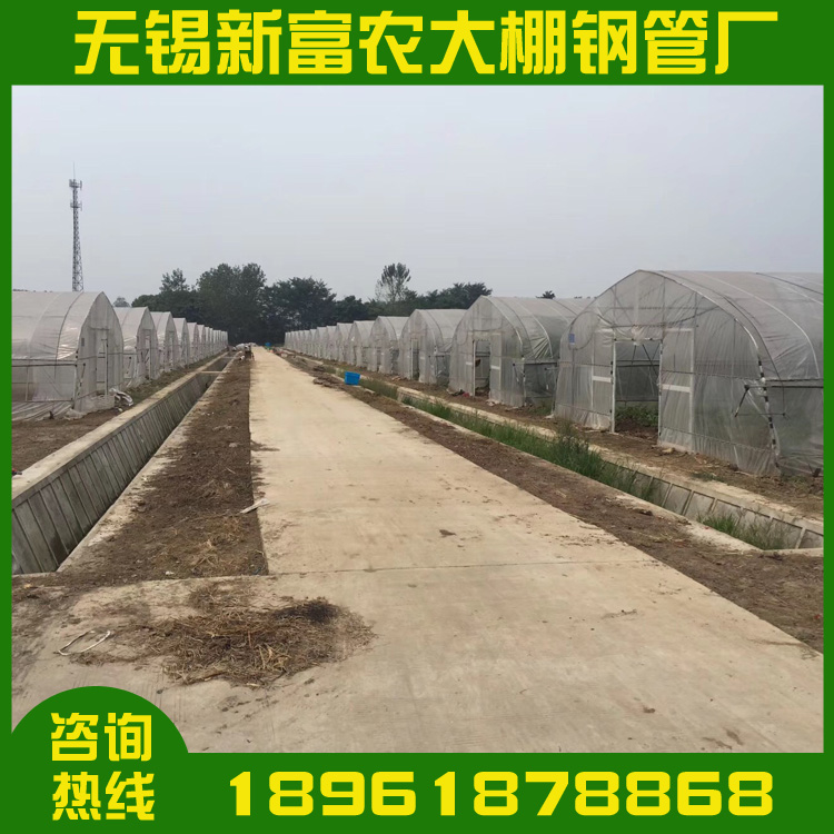 厂家直销钢架单体大棚农业大棚温室大棚专业生产养殖单体棚配件
