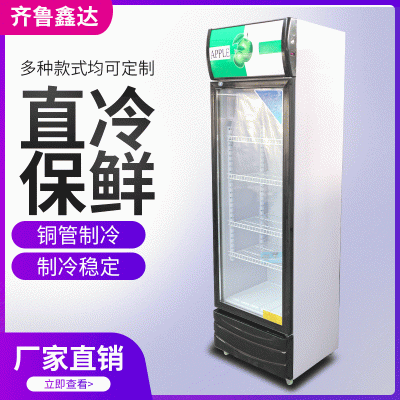 单门啤酒柜 饮料冷藏展示柜 啤酒冷藏保鲜柜加工定制
