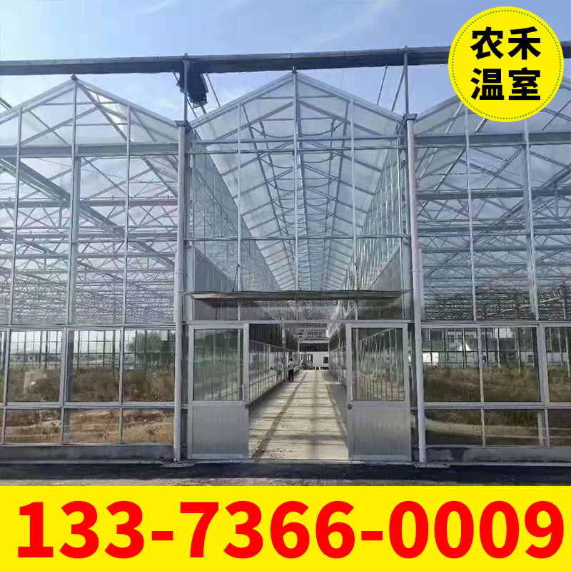 果蔬大棚厂家 无锡大棚厂家支持定制 薄膜连栋大棚 智能温室大棚材料造价 蔬菜大棚建设