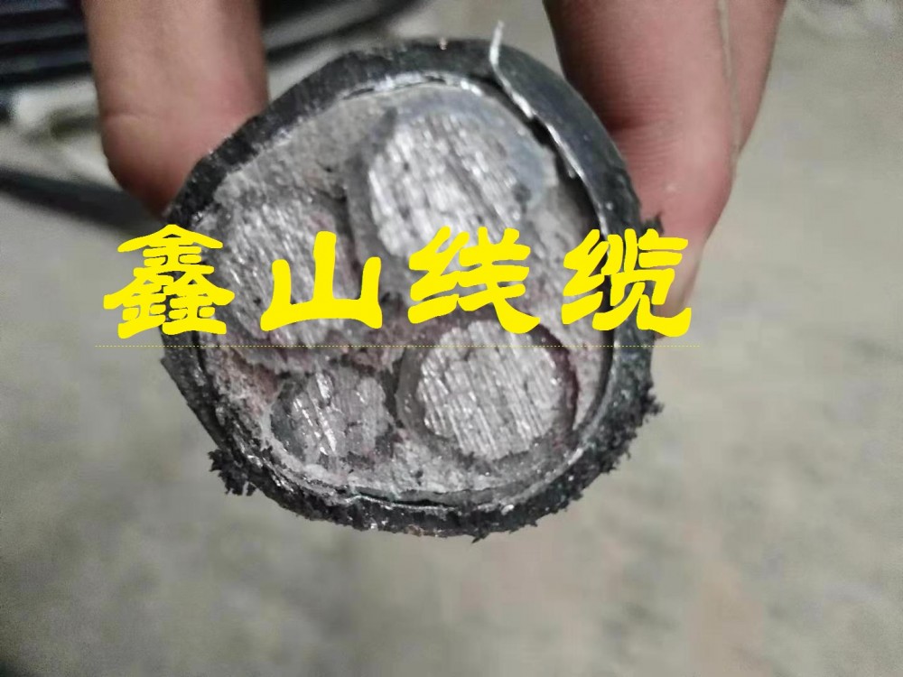 高低压电线电缆哪家好
