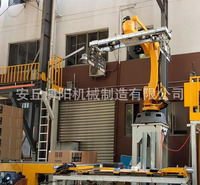 出售酒箱自动码垛机 智能化自动堆垛机 包装码垛机厂家
