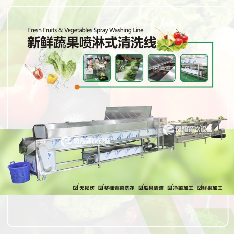 厂家直销果蔬清洗流水线，净菜整套加工清洗设备