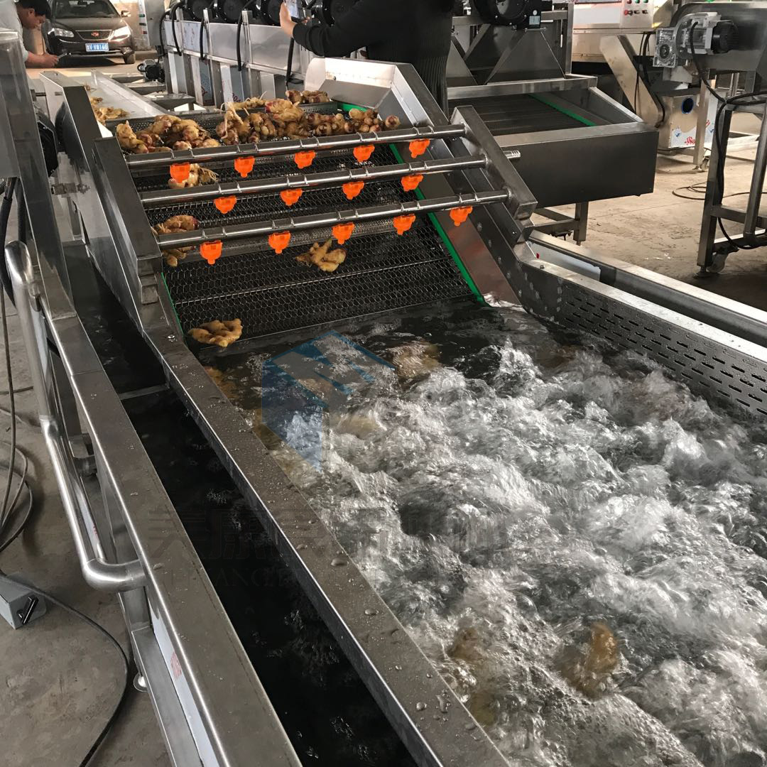 济宁石榴气泡清洗机 清洗效果好 节省劳动成本 果蔬清洗设备厂家