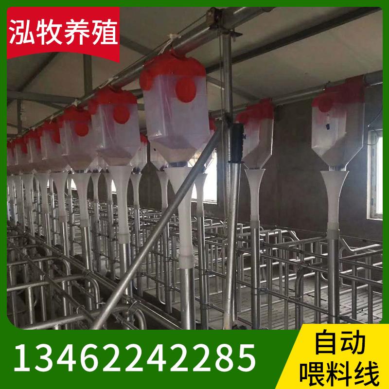 泓牧养殖 自动化喂料线猪料线 全自动喂料设备养猪自动喂料设备  猪场自动化喂料线 猪舍料线 现货供应料塔 自动化料线 专业生产各种养殖设备 育肥母猪料线量大从优