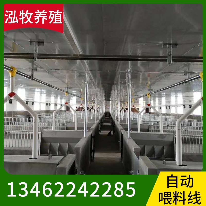 泓牧养殖 自动化喂料线 猪料线 全自动喂料设备 猪场自动化喂料线 猪舍料线 畜牧自动化喂料线 现货供应料塔养猪自动化料线 大量批发自动喂料线 自动喂料机量大从优