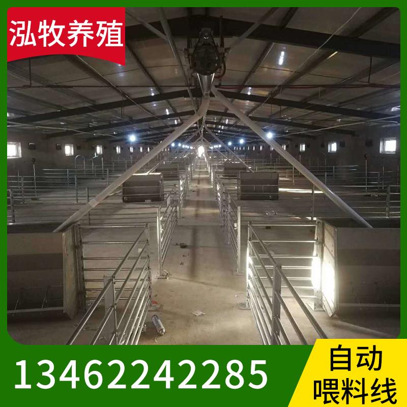 泓牧养殖 自动化喂料线 猪料线  养猪自动喂料设备  猪场自动化喂料线 全自动喂料设备  猪舍料线  现货供应料塔养猪自动化料线   自动喂料机量大从优