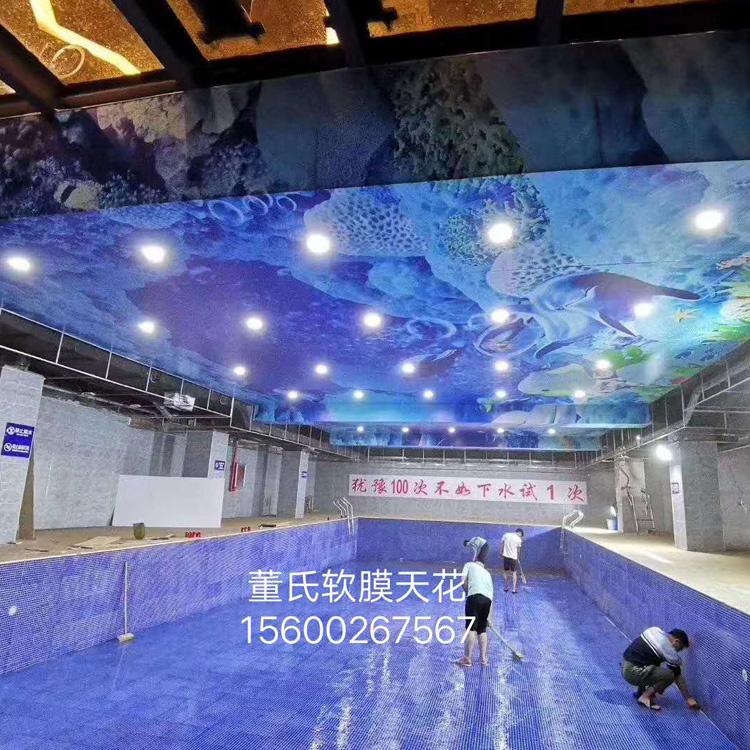河南软膜天花吊顶造型多样 游泳馆吊顶柔性天花