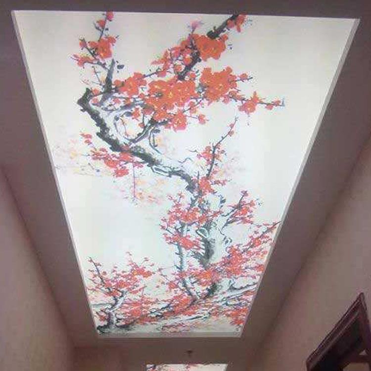 河北软膜天花吊顶柔韧性良好 透光膜柔性天花