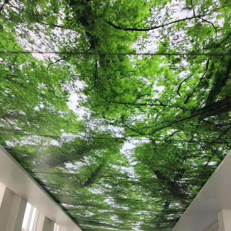 河北透光膜厂家 拉膜天花吊顶厂家