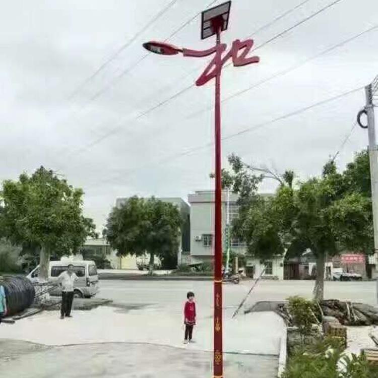 30w路灯支持定制 草坪灯支持定制