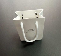 东莞厂家 供应环保<em>服装</em>手提袋定制