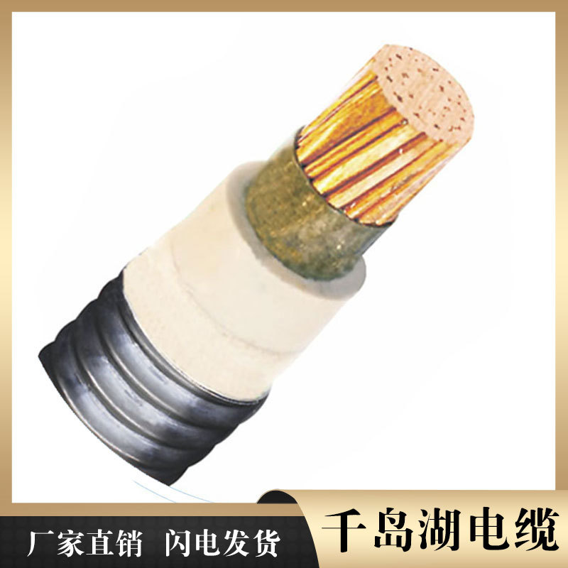 变频电缆系列 千岛湖中策控股电缆厂现货 湖州电缆