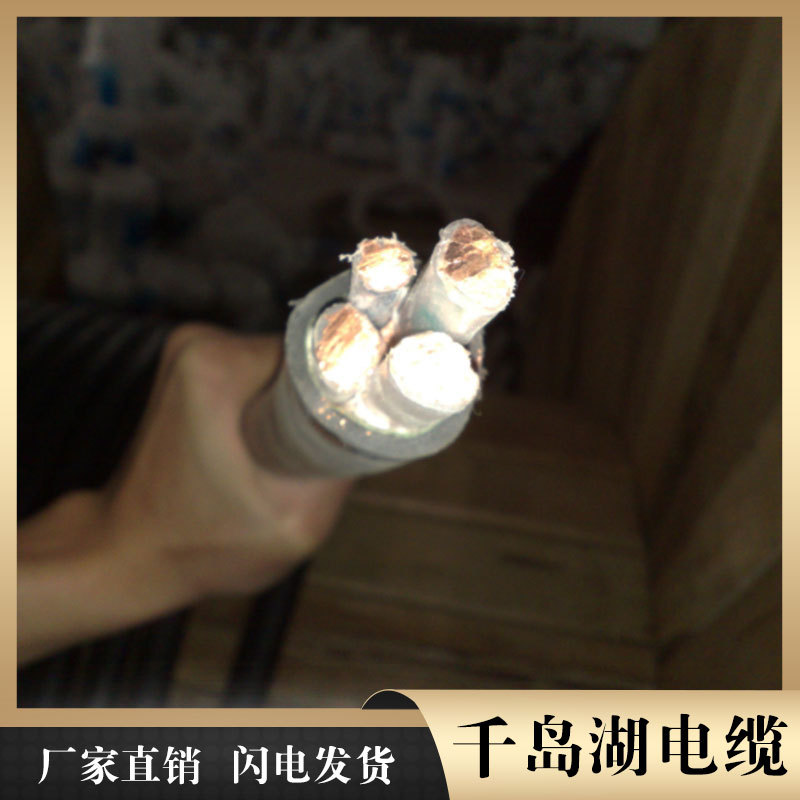 舟山电缆 扁电缆现货 千岛湖中策控股电缆厂商家