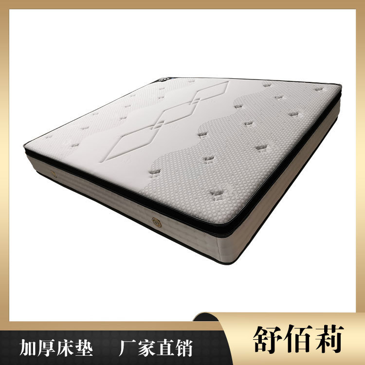 椰棕床垫批发 汕尾床垫 舒佰莉环保床垫厂供应