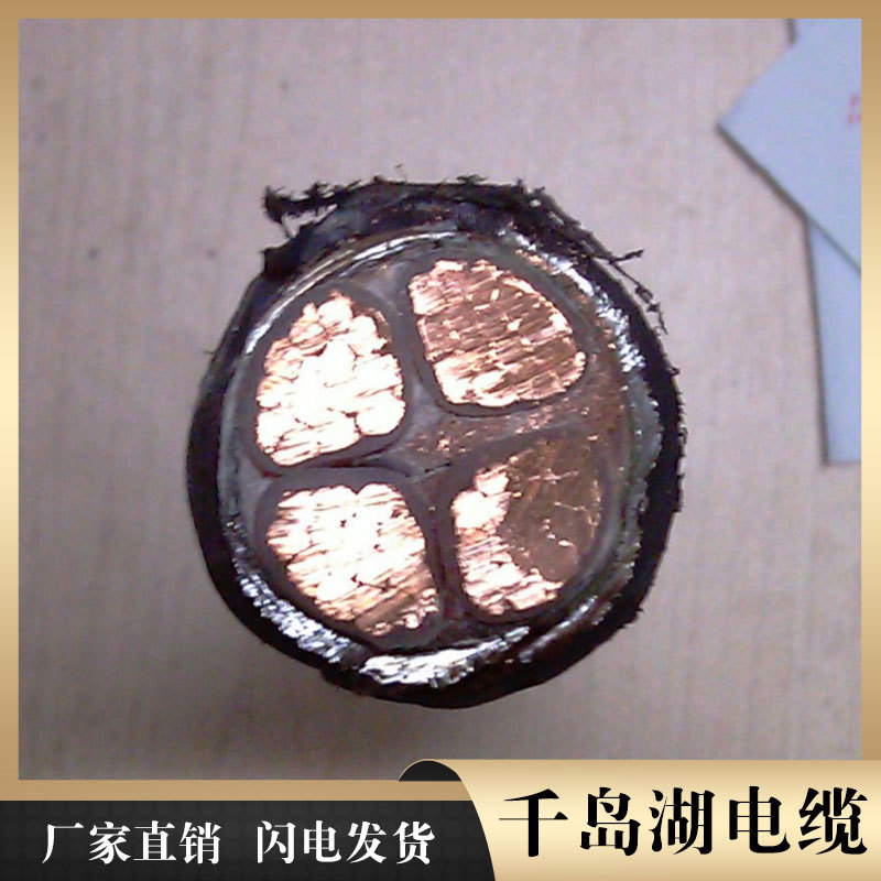 湖州电缆 千岛湖中策控股电缆 变频电缆系列