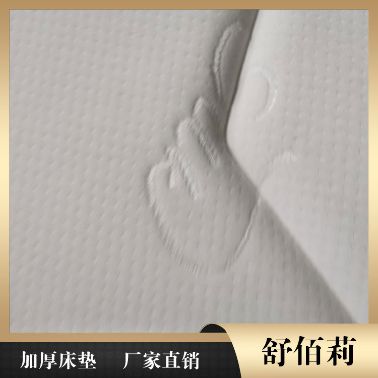 双人床垫批发 淮安床垫 舒佰莉席梦思床垫厂