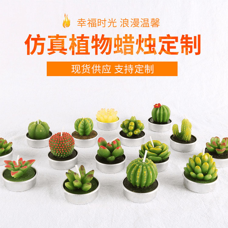 医用石蜡 圣坤蜡艺 临海石蜡