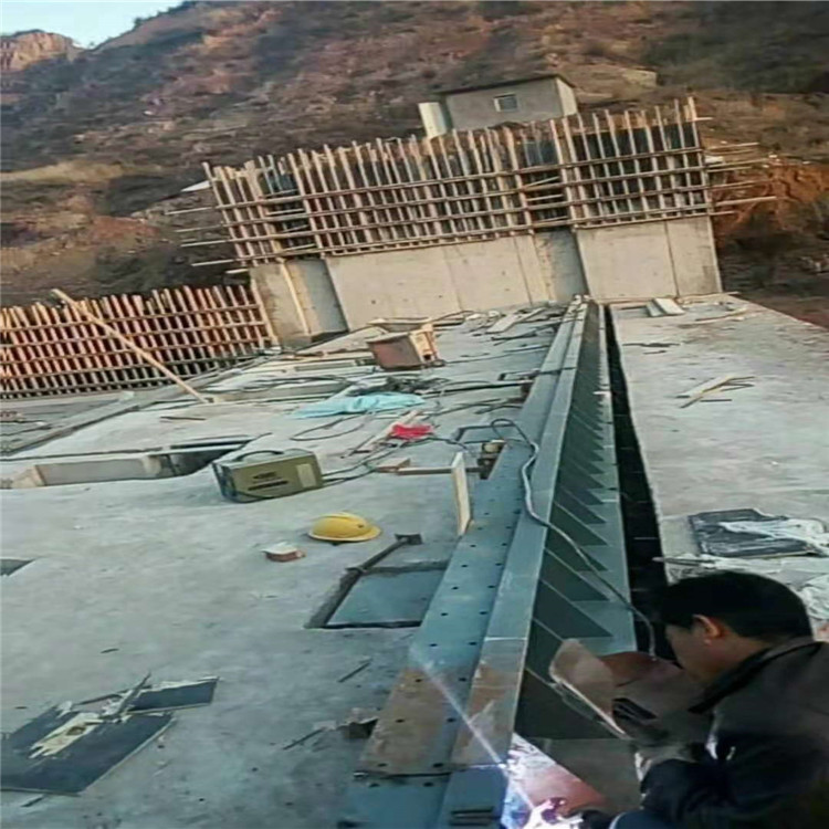 盖州景观钢制闸门 液压翻板闸门 厂家报价【瑞鑫水工】
