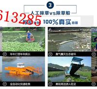 洁科环保长期供应割草清淤船19853613285