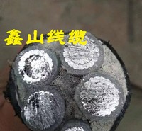 铝芯电力电缆供应