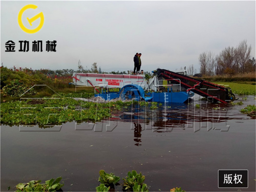 潍坊专门生产割草船的厂家 清洁船 效率高 成本低