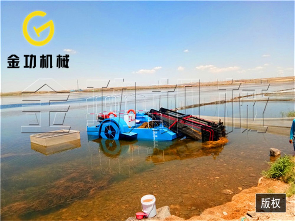水葫芦治理船 保洁船权威 重物打捞 机械割草