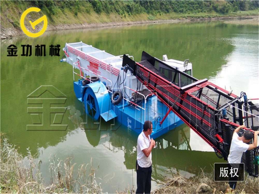 割草船批发 绿萍收集船 割草船图片