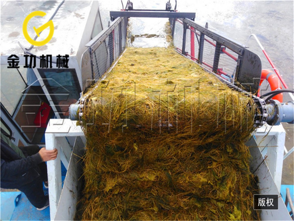 潍坊专门生产割草船的厂家 长江清漂船打捞船