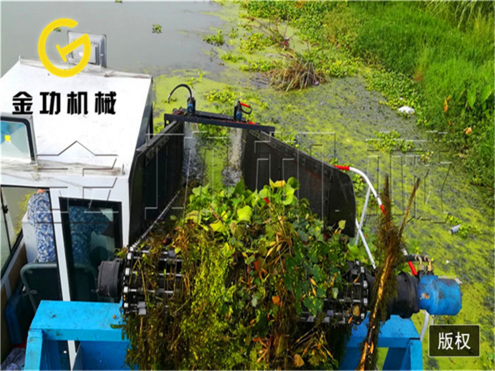 水葫芦保洁船 代替人工清洁水面 海藻保洁船 机械割草 水草处理