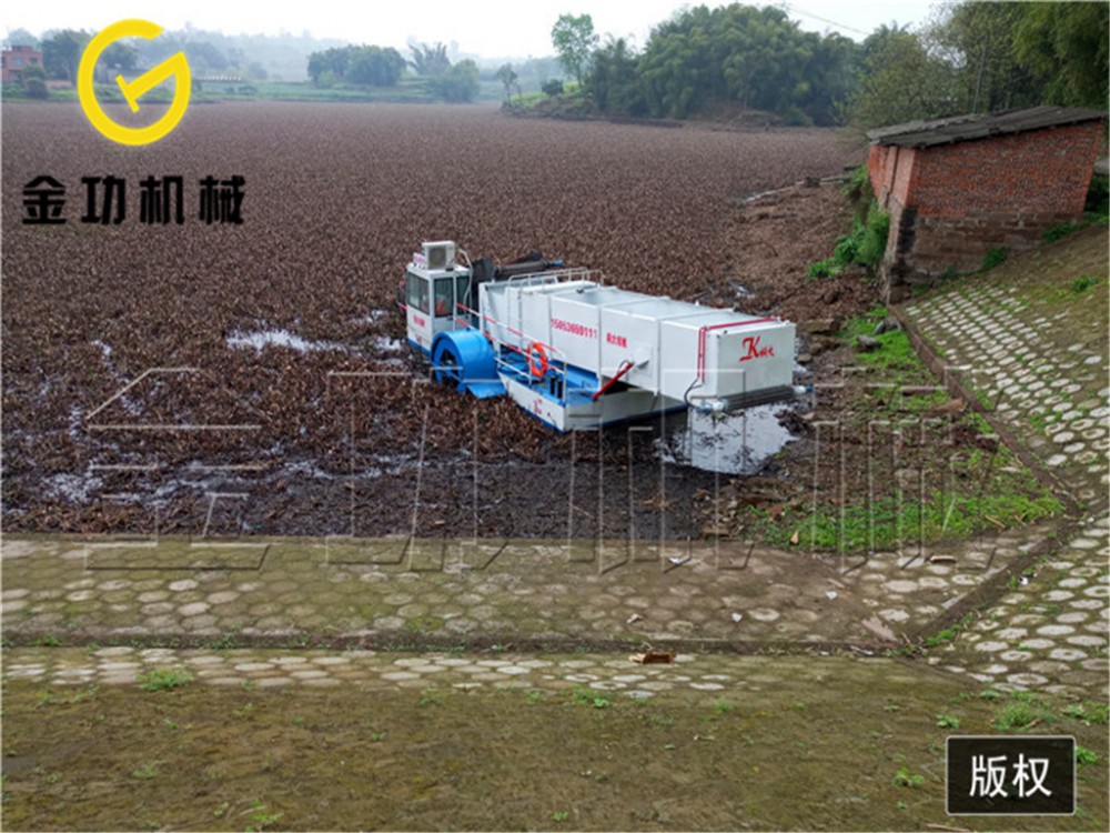 保洁船生产 割草船厂家 垃圾打捞 收割水草