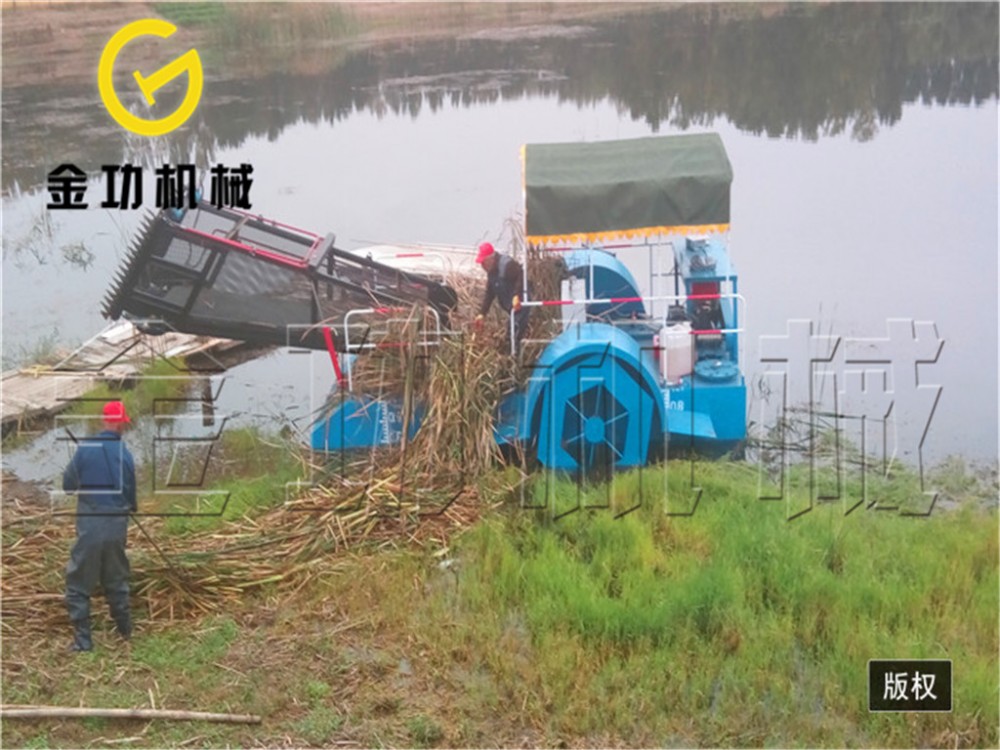 人工湖割草 海藻收集打捞船 清污船 清洁船定制