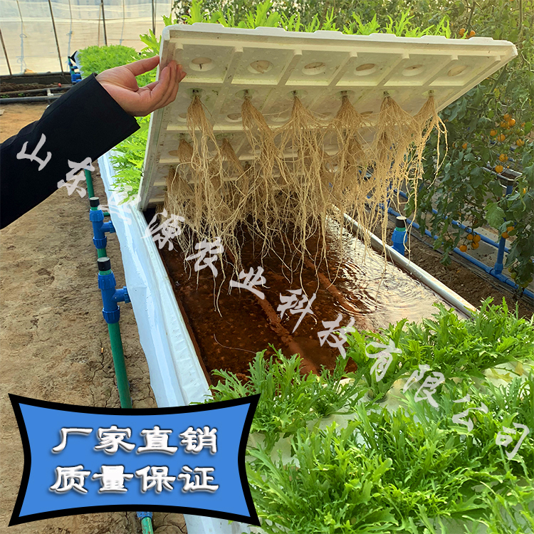 浅液流无土栽培设备 水培蔬菜种植 漂浮板水培蔬菜种植 无土栽培厂家