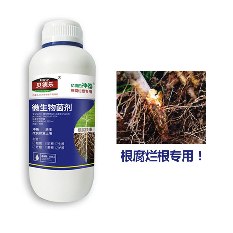 辣椒根腐病所有作物贝德乐根腐快康贝德乐微生物菌剂 根腐烂根贝德乐水溶肥厂家