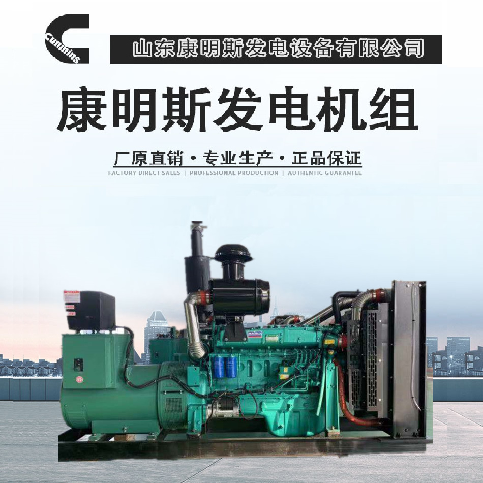 柴油发电机组_200kw潍坊动力发电机组_全铜无刷_厂家供应