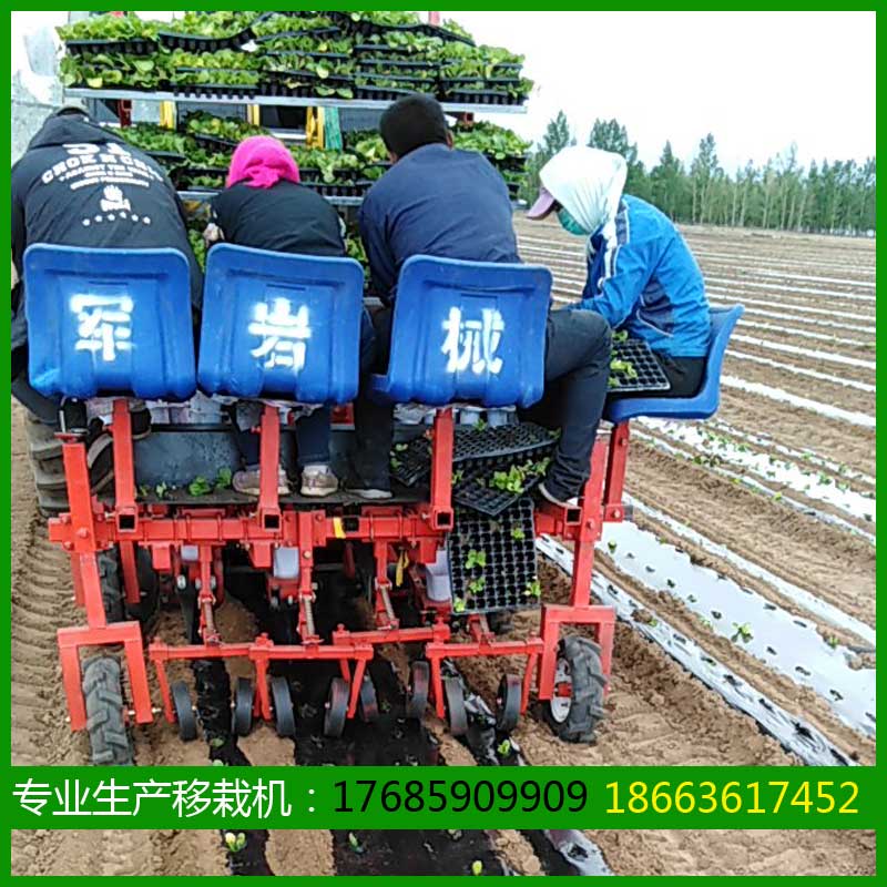 移栽机地瓜移栽机