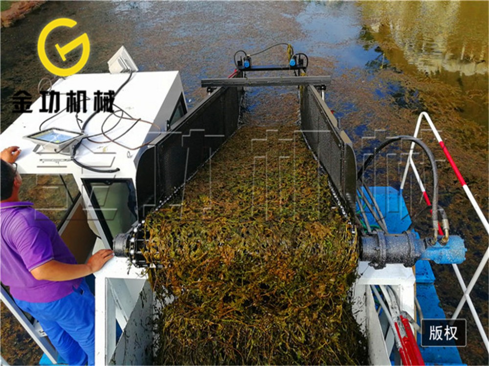 虾塘小型割草船 湖泊收割船 水库清运船