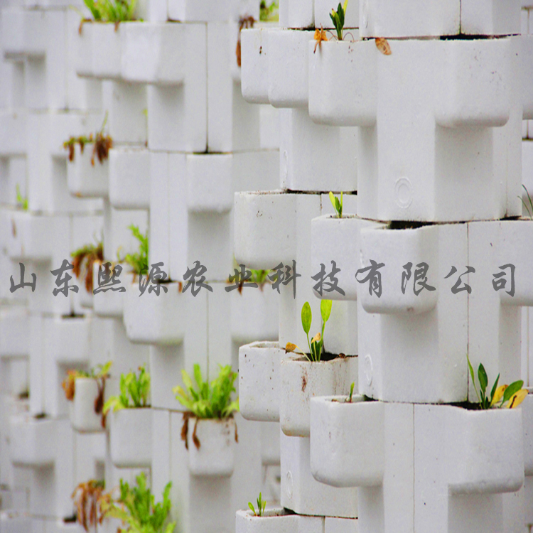 基质土种植 泡沫立柱无土栽培  泡沫栽培 无土栽培工程建设