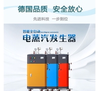 菏泽电蒸汽发生器厂家_威能ZFQ0.1-0.7-D电蒸汽锅炉