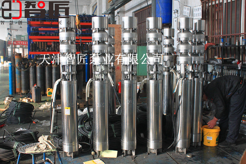福建QJ井用电泵质量怎么样--天津智匠泵业