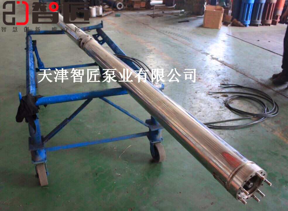 香港多级潜水泵品牌--天津智匠泵业