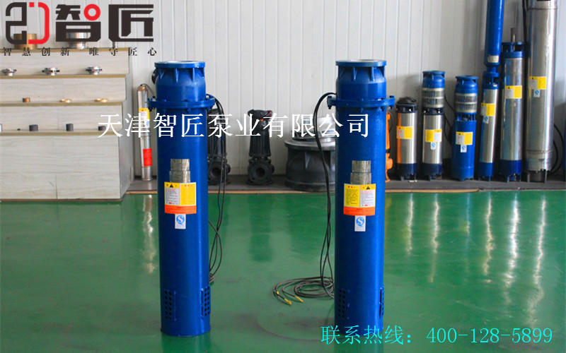 海南变频潜水泵卓越品质--天津智匠泵业
