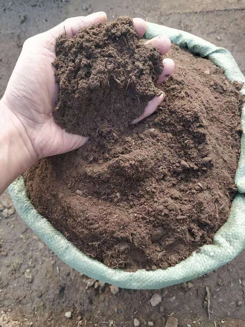 草炭土供应商 泥炭土批发 泥炭土价格 东北泥炭土