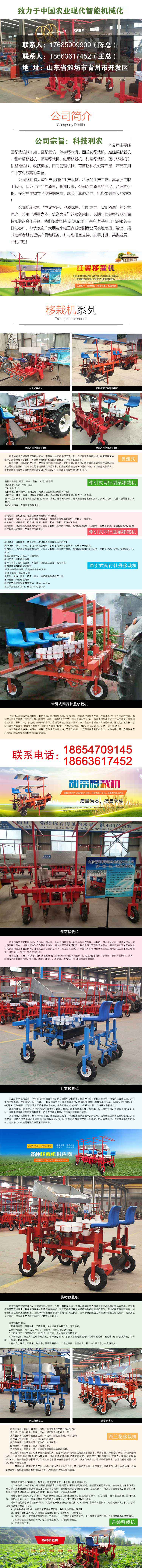 移栽机牛蒡栽苗机
