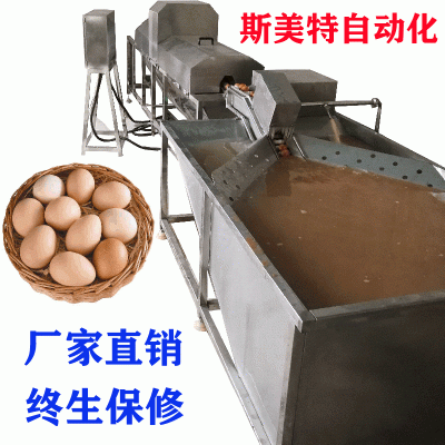 供应全自动蛋品清洗机 优质304不锈钢洗蛋机 零破损 厂家直销