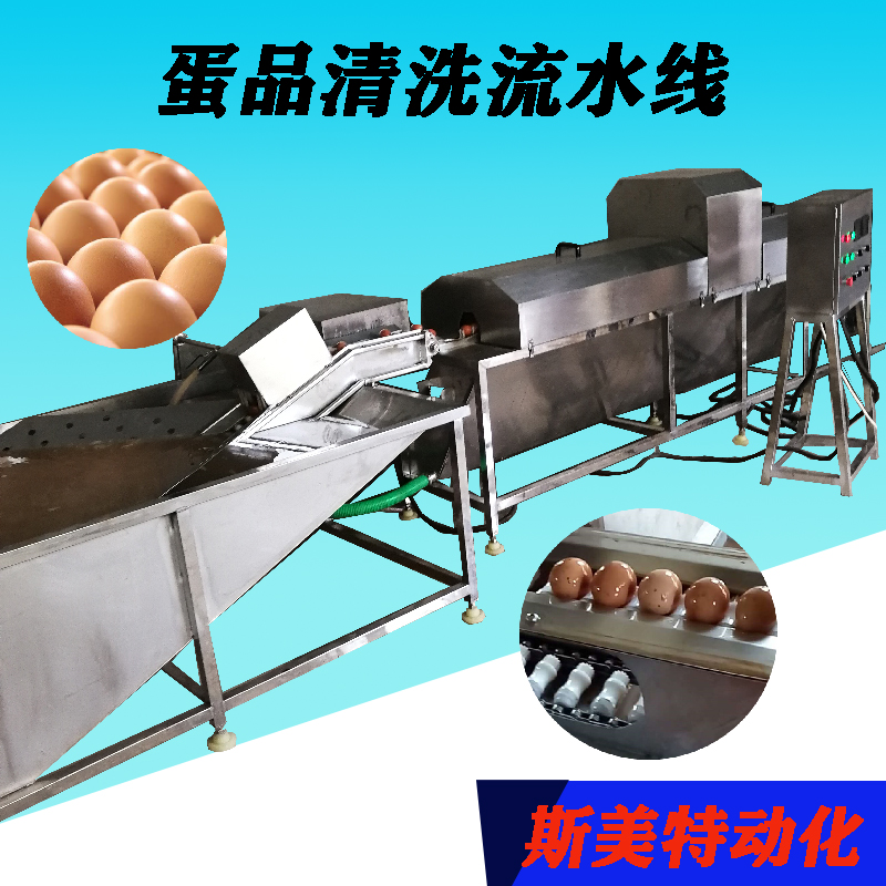 不锈钢洗蛋机 全自动鸡蛋鸭蛋去泥清洗机 清洗风干流水线